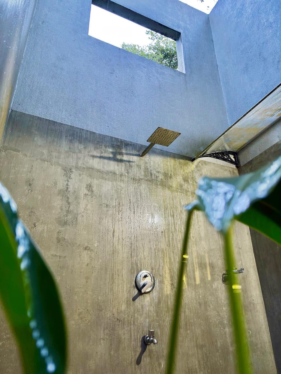 Calm Villas House in Mirissa