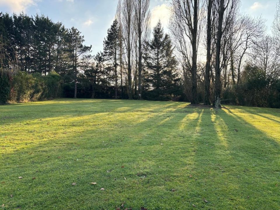 Natural landscape, Garden