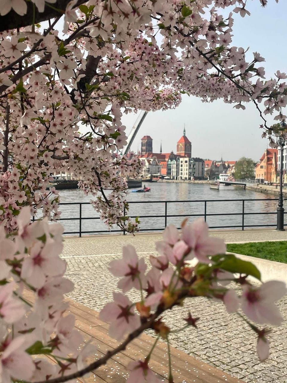 River view