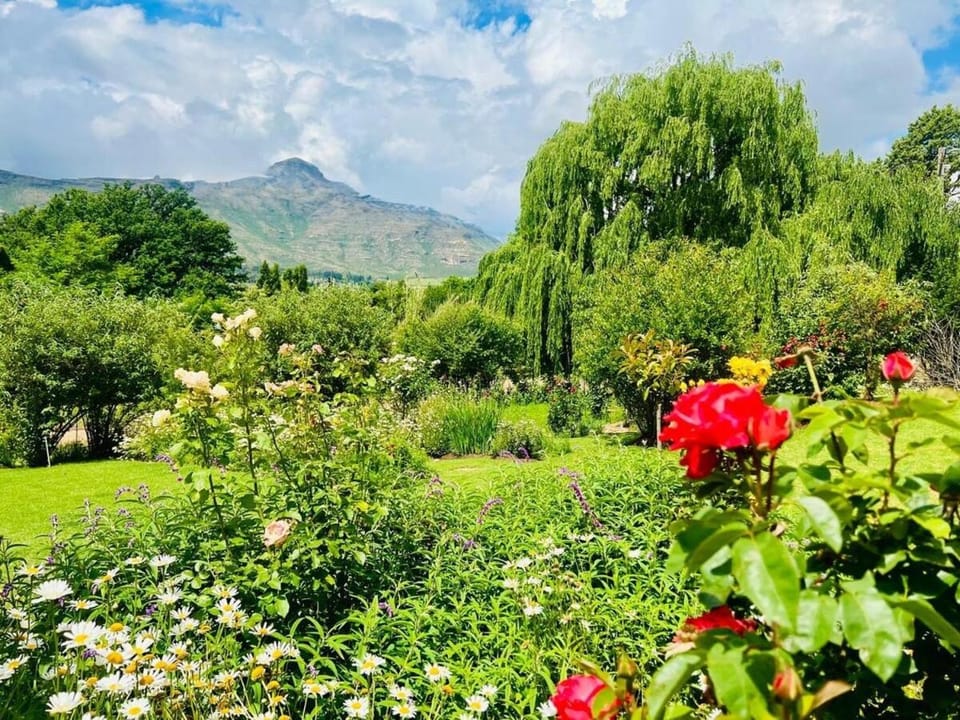 Garden, Garden view, Mountain view