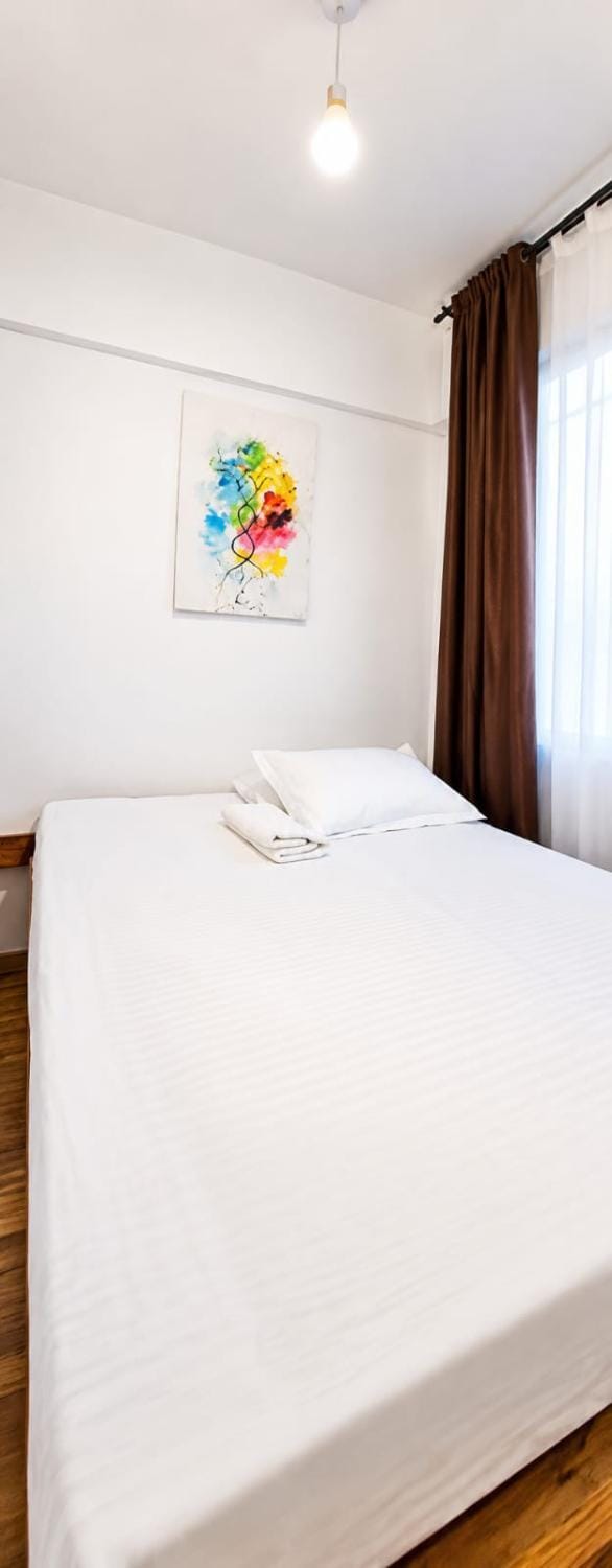 2 BED 4Pac Makasembo Apartment in Kenya