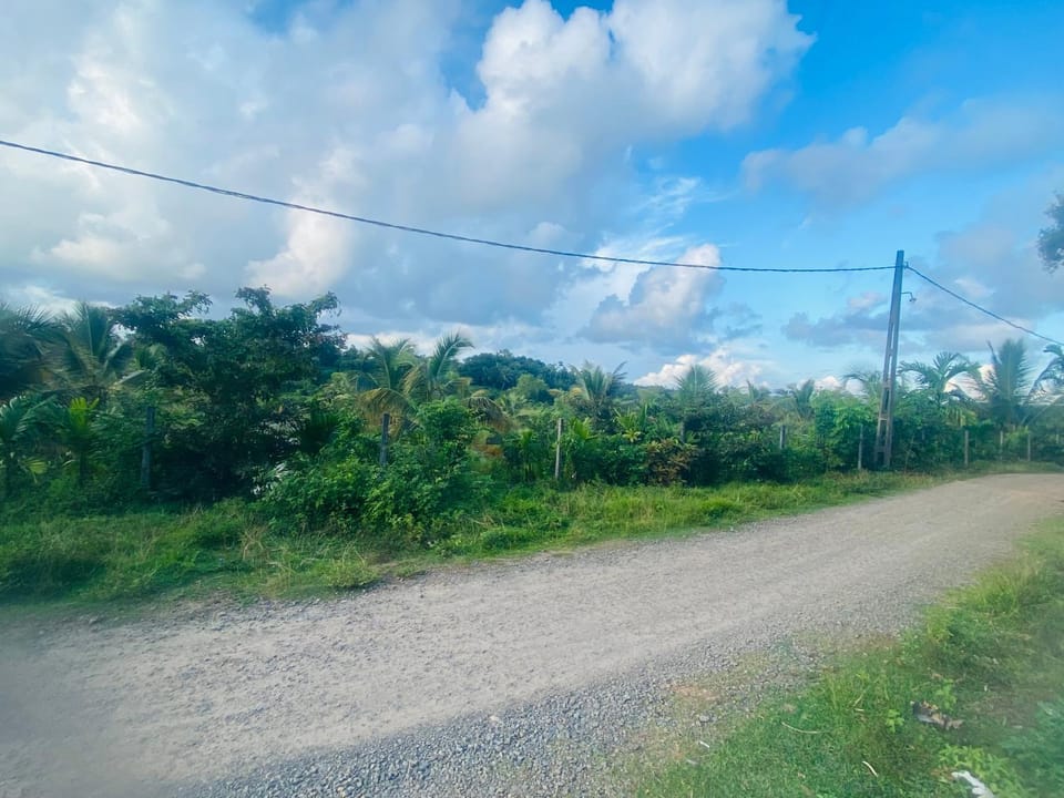 Aadhya Homestay Vacation rental in Western Province