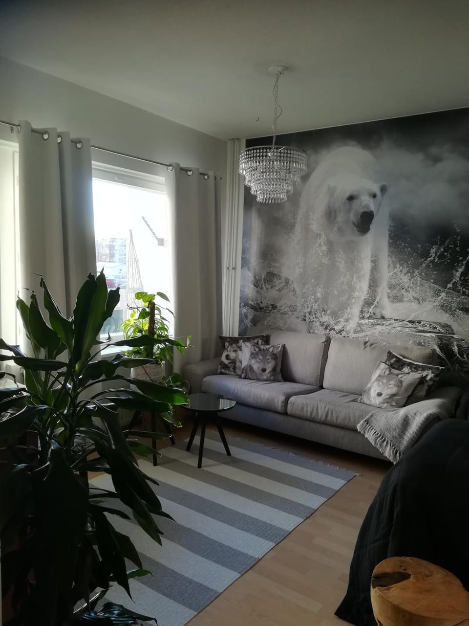 Photo of the whole room