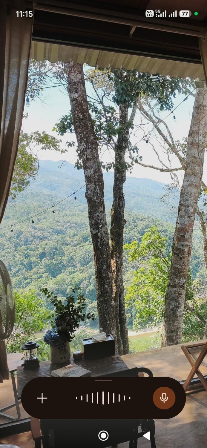 View (from property/room)
