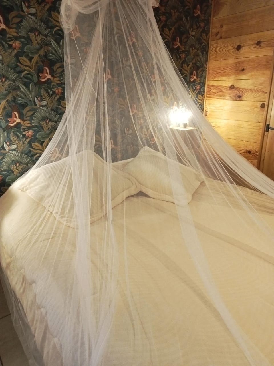 Le Charron - Chambre D'Hôtes Bed and Breakfast in Auvergne-Rhône-Alpes