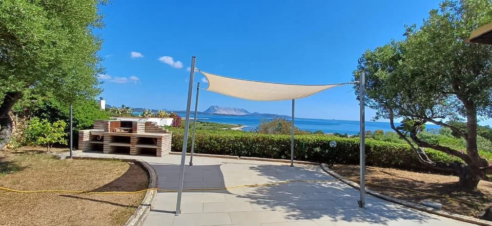 Garden, Sea view