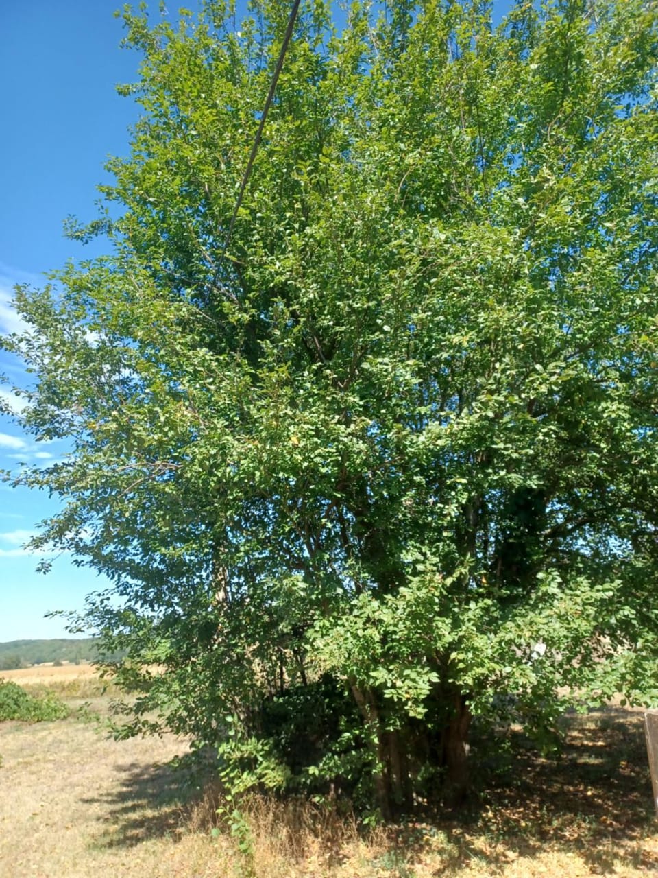 202 au Broca House in Occitanie