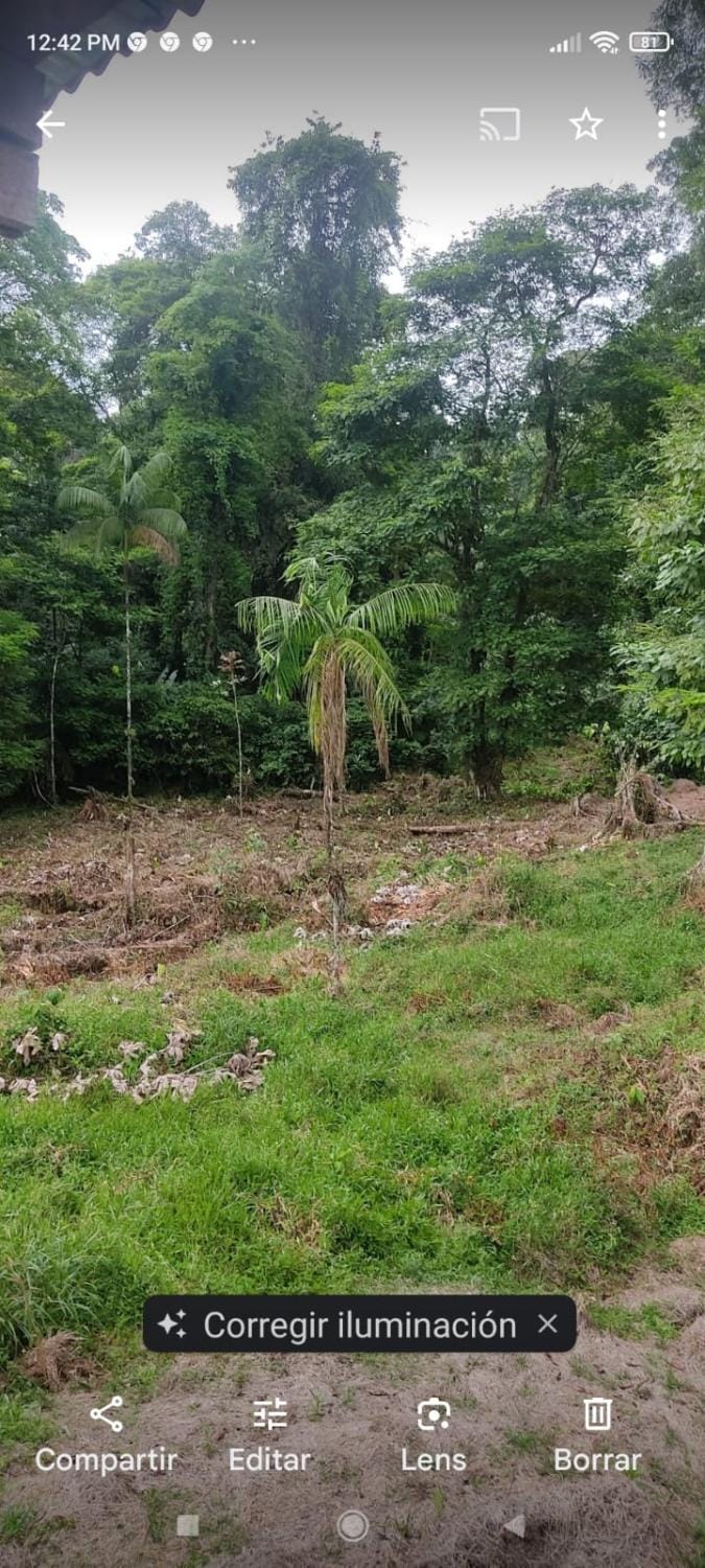 Casa verde rio Corinto Country House in Costa Rica