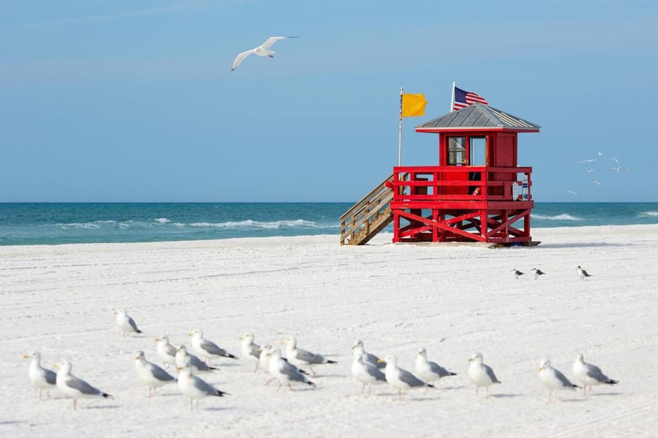 1 Bed1Bath, Pool View Condo, Walk to #1 Siesta Beach Apartment in Siesta Beach