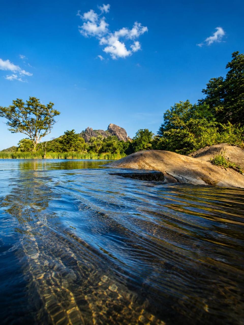 Heavan heights lodge Nature lodge in Dambulla