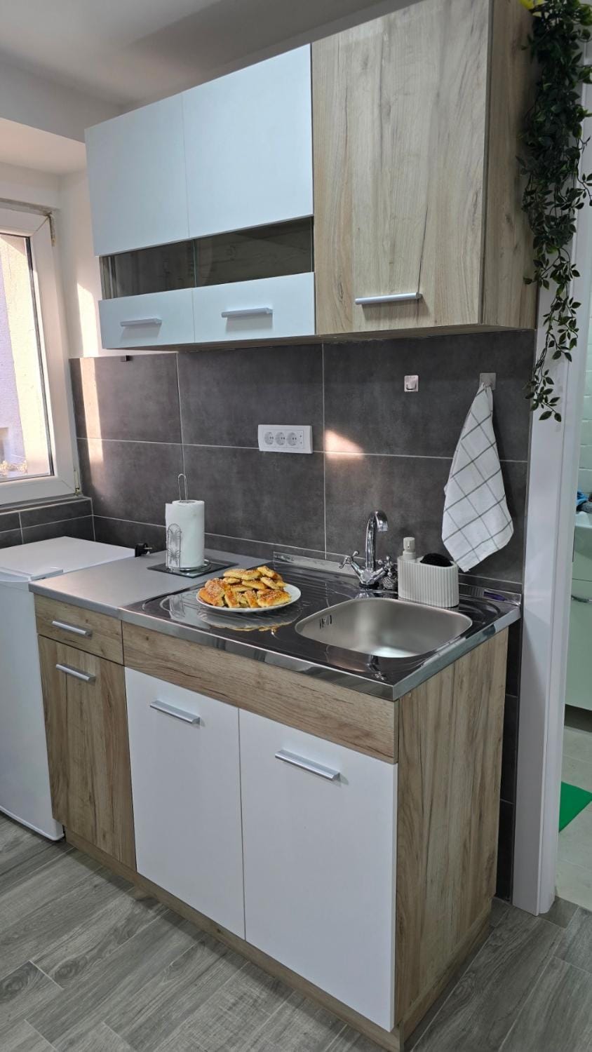 Mags Studio Zemun Apartment in Belgrade