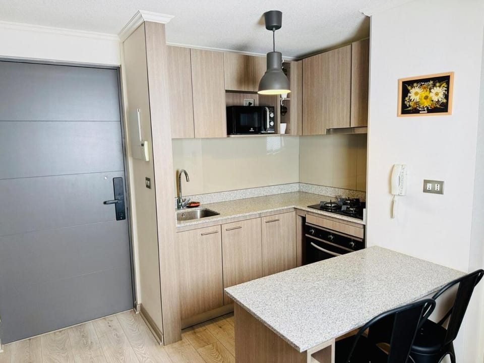Kitchen or kitchenette, Dining area, oven, stove