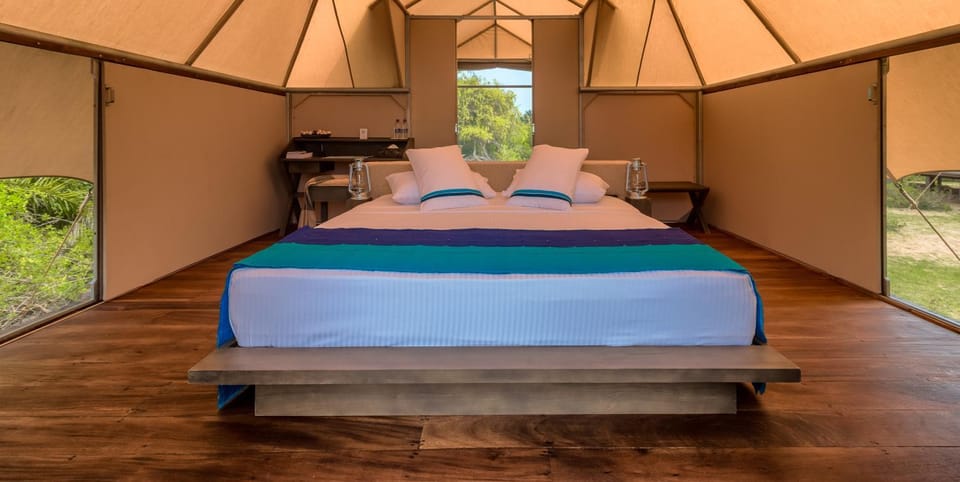 Bed