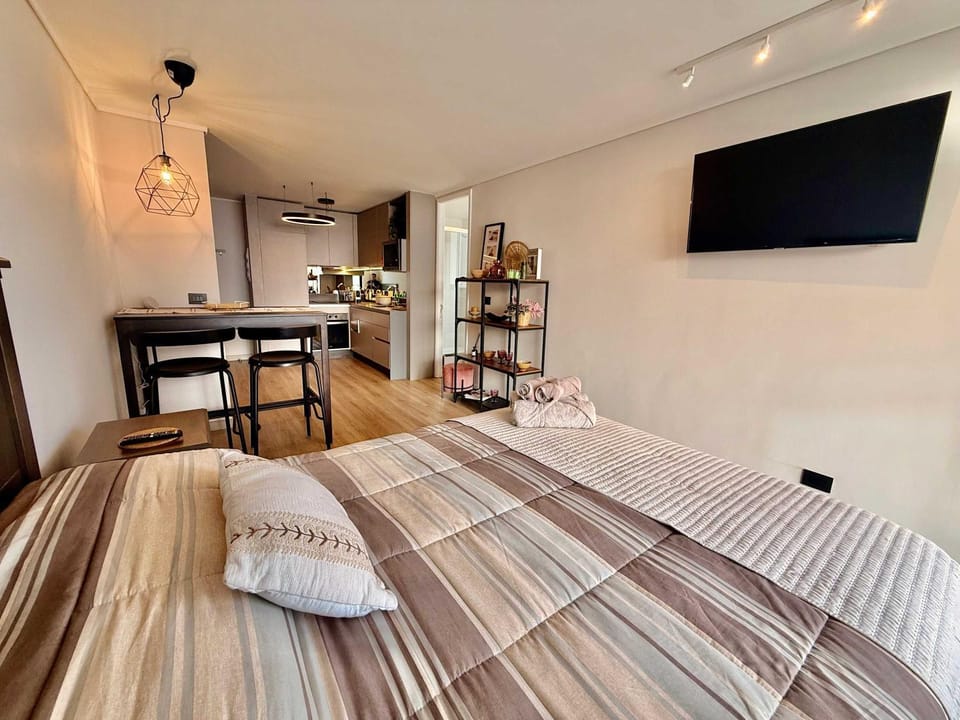 Wonderful studio with ocean view Apartment in Vina del Mar