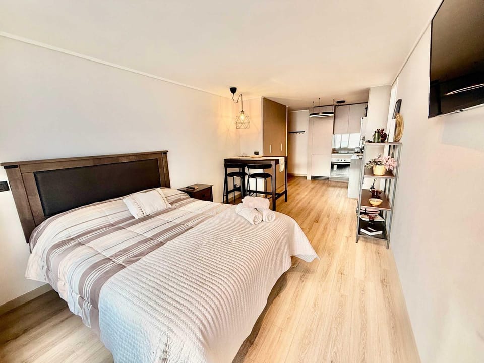 Wonderful studio with ocean view Apartment in Vina del Mar