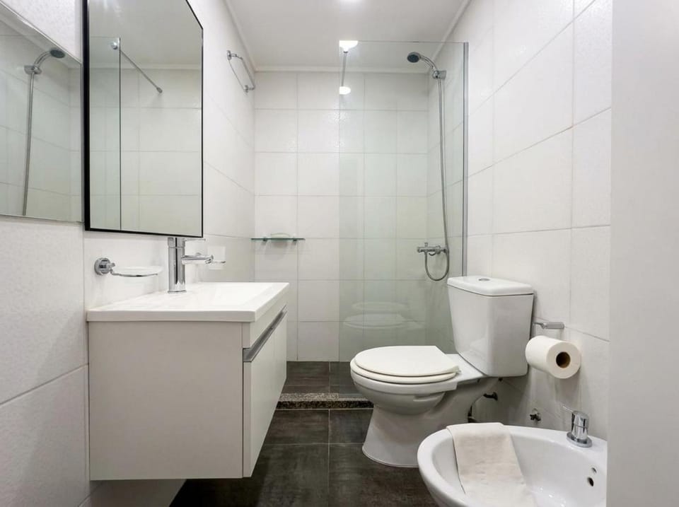 Shower, Toilet, Bathroom, bidet