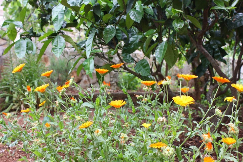 Location, children, Family