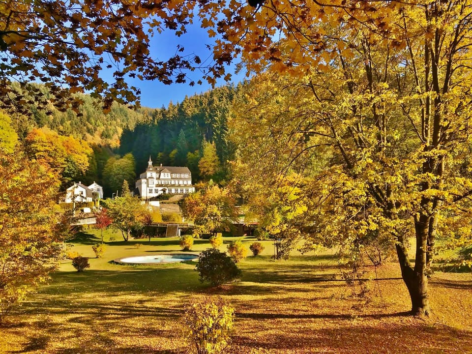 Property building, Neighbourhood, Natural landscape, Autumn