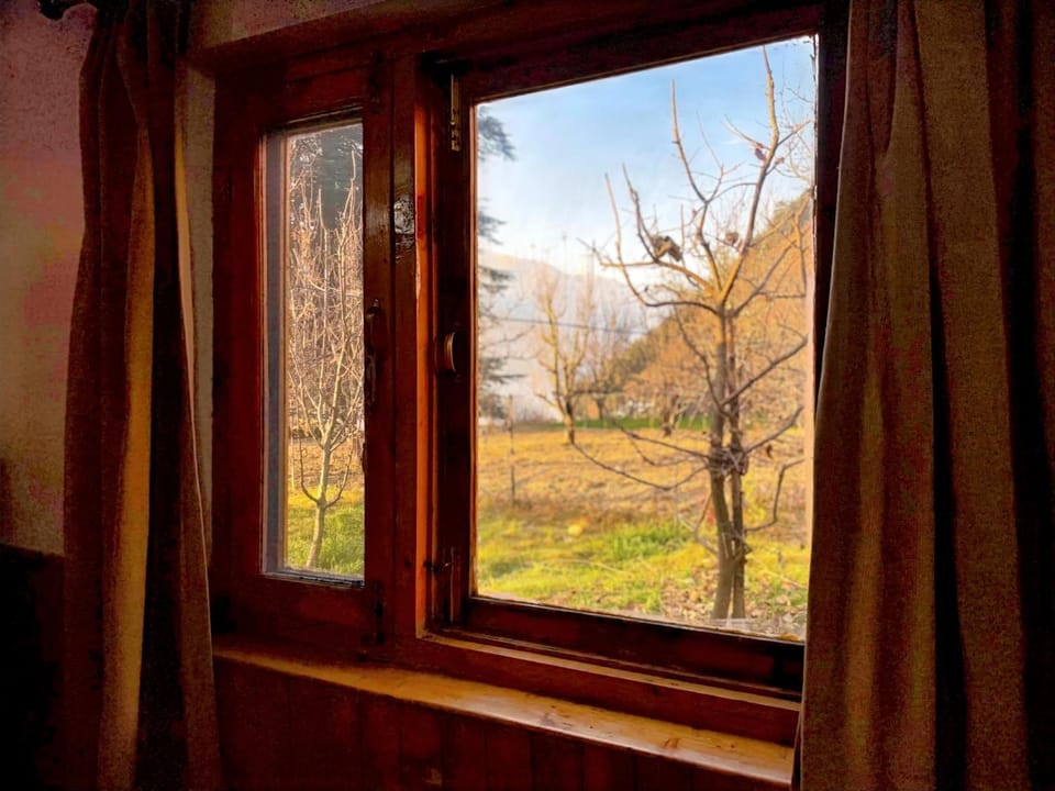 Natural landscape, Garden, Garden view, Mountain view