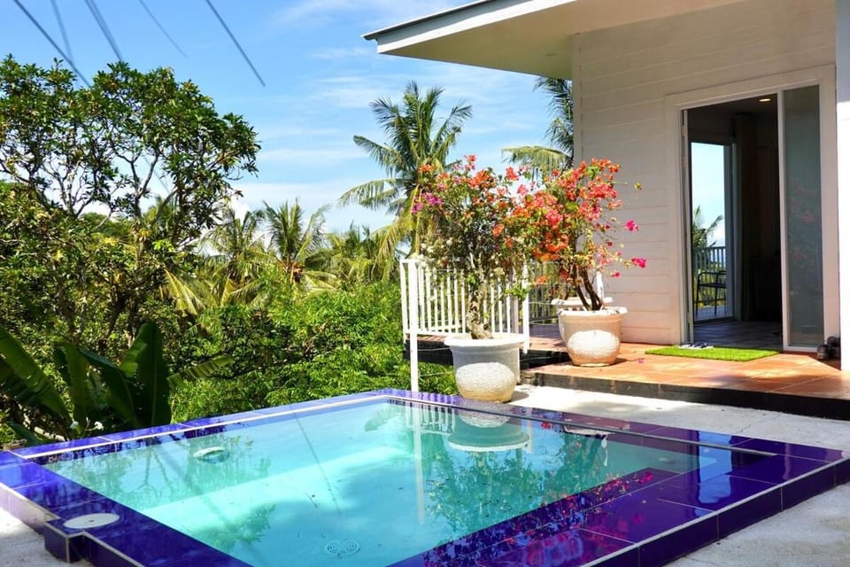 Property building, Natural landscape, Garden, Garden view, Pool view, Swimming pool