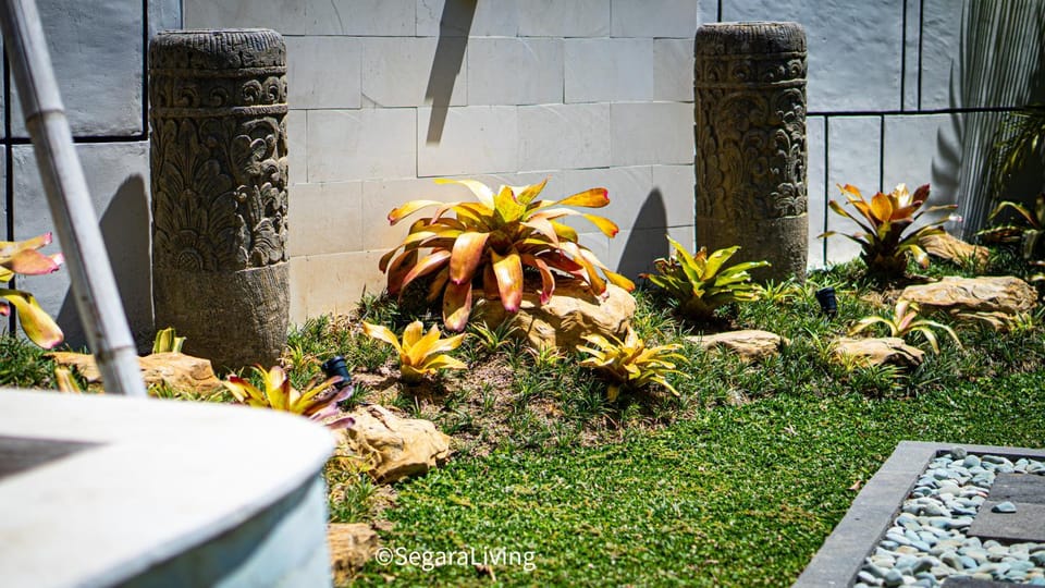 Segara Living Bed and Breakfast in West Selemadeg