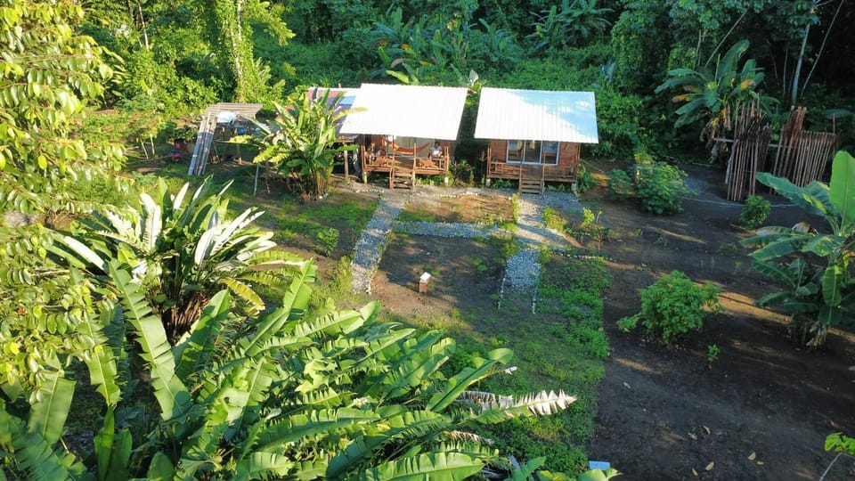 Cabañas Emma Lodge Hotel in Choco, Colombia