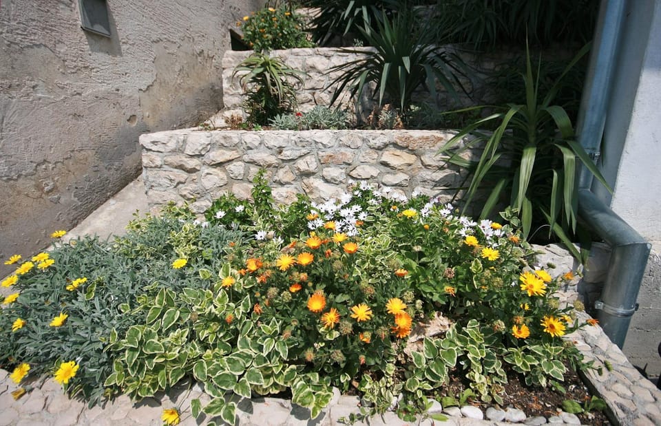 Location, children, Family