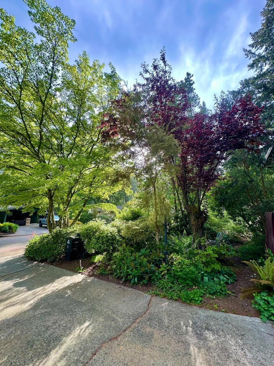 Natural landscape, Garden