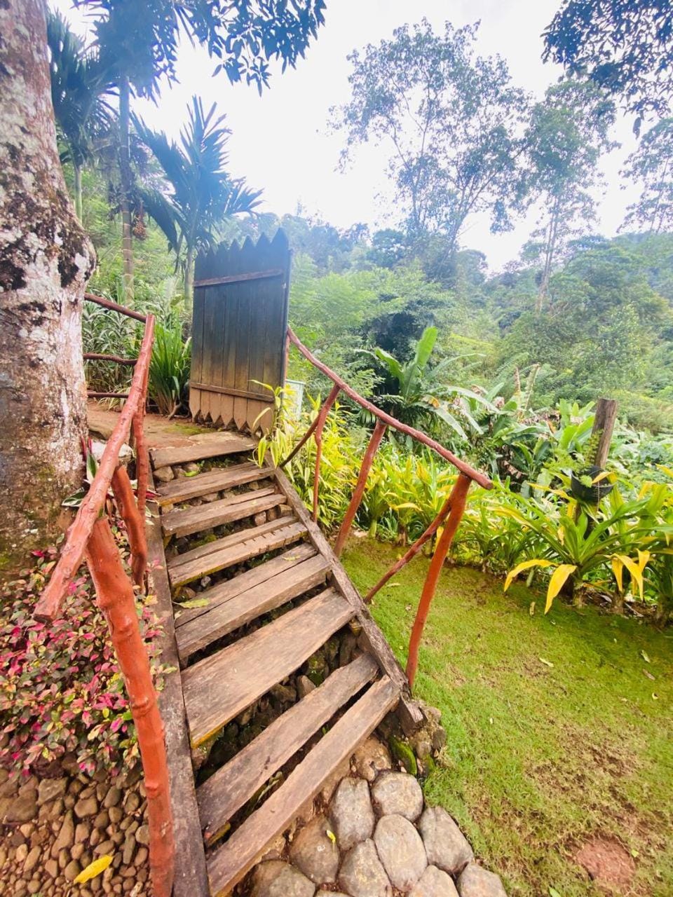 Facade/entrance, Day, Garden, Garden view