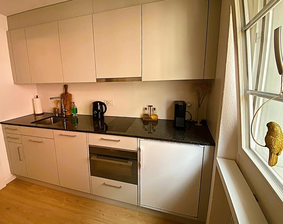 Altstadt-Duo 2 apartments for family & friends Apartment in Schaffhausen, Switzerland