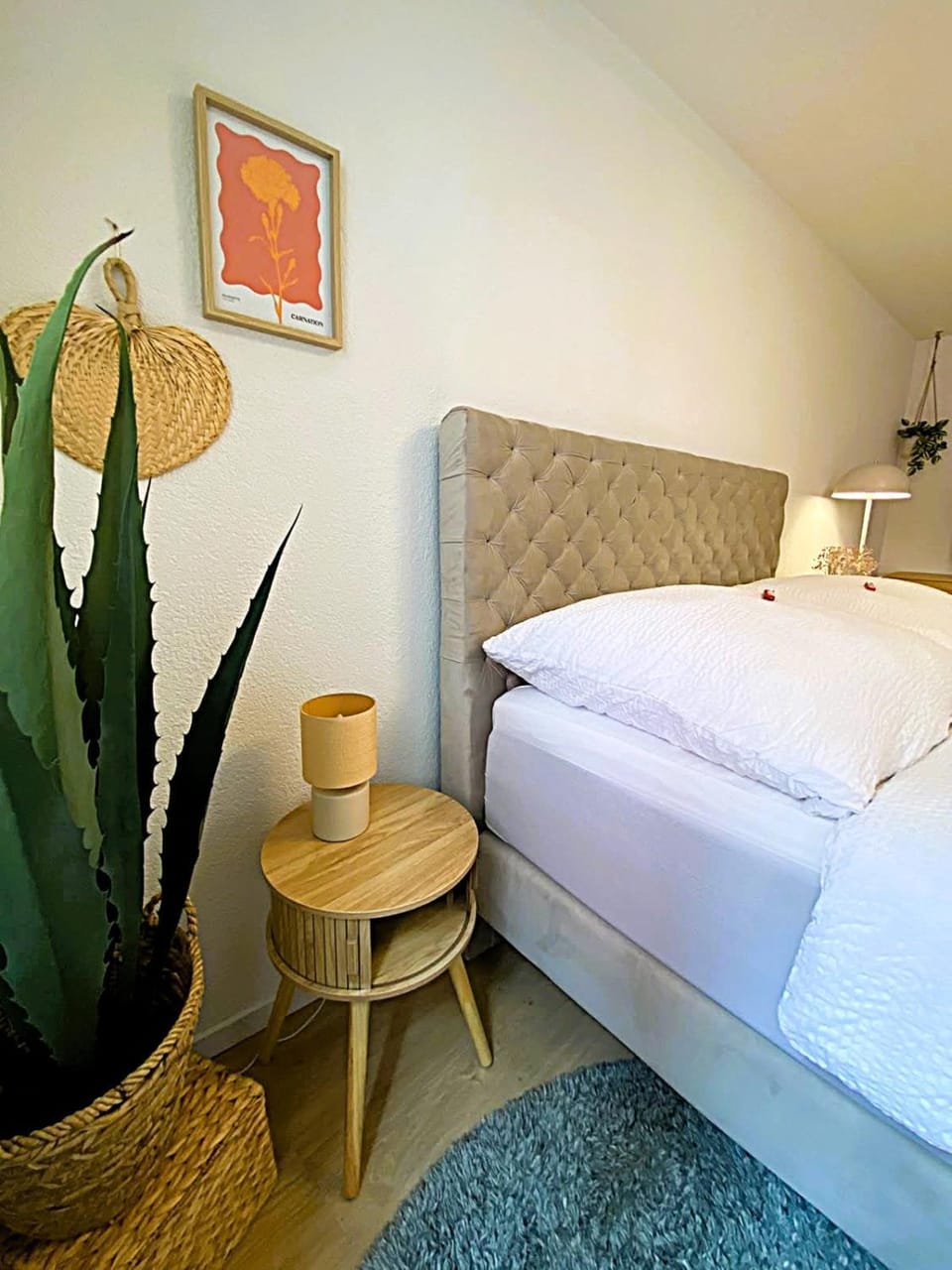 Altstadt-Duo 2 apartments for family & friends Apartment in Schaffhausen, Switzerland