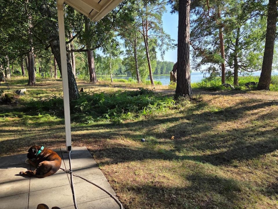 Njut av kvällssolen på Hjälmarens strand! House in Sweden