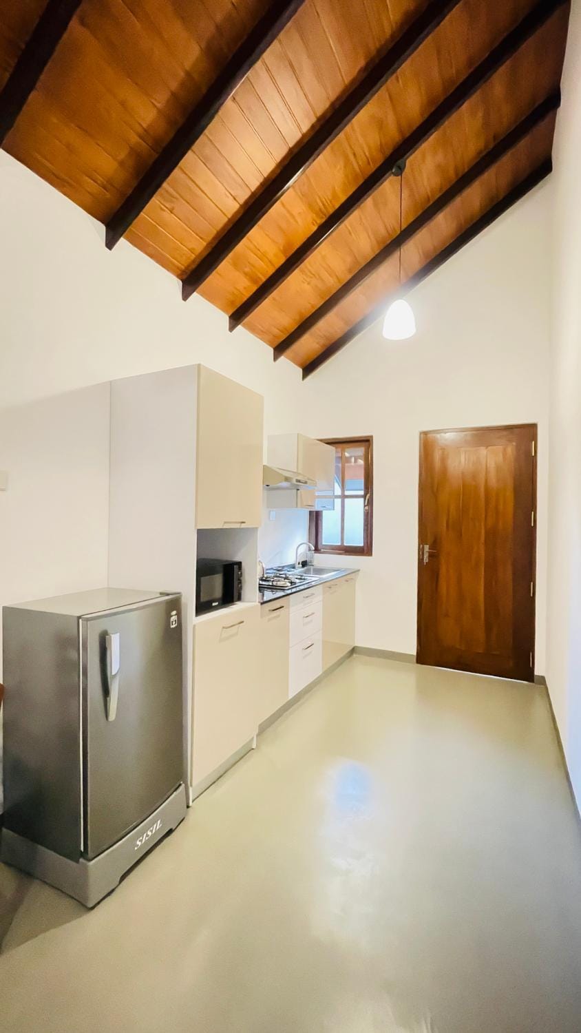 Kitchen or kitchenette, oven, stove