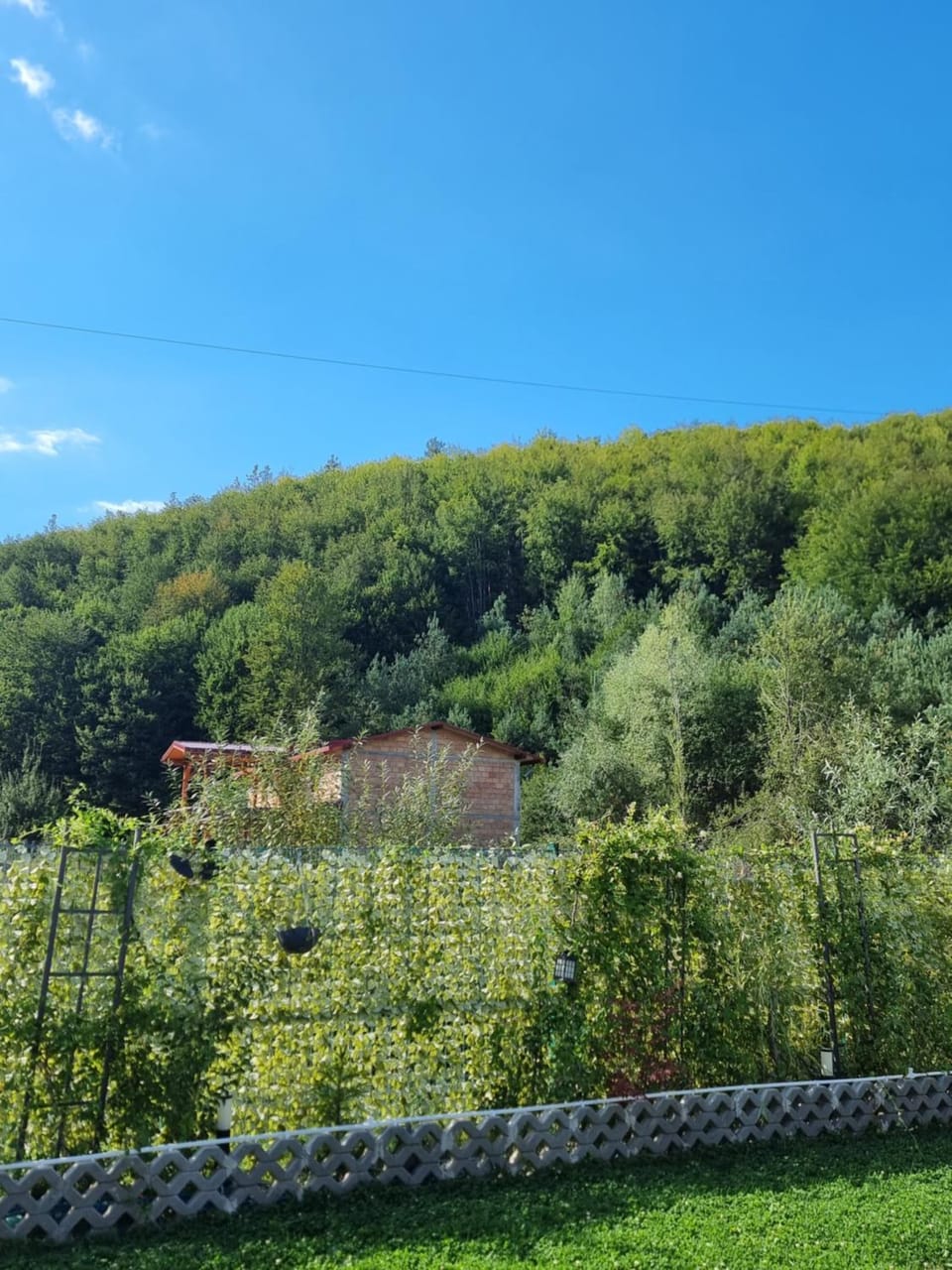 Day, Natural landscape