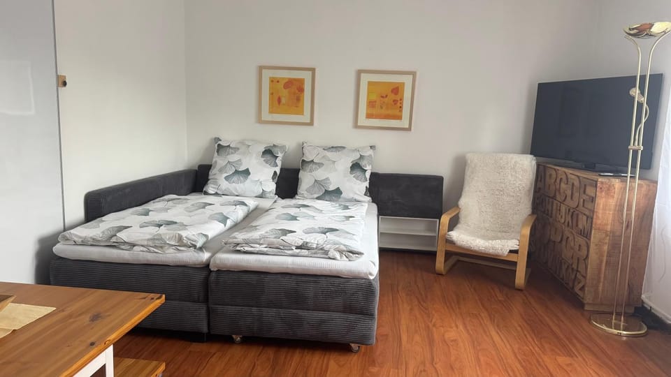 Bed, TV and multimedia, Living room, Photo of the whole room, Bedroom