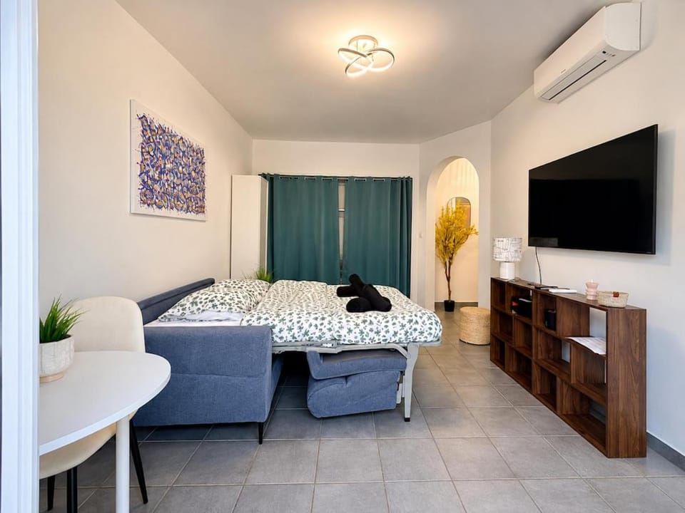 of Cannes Apartment in Cannes