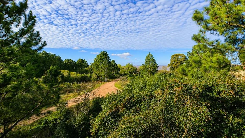 Natural landscape, Sea view