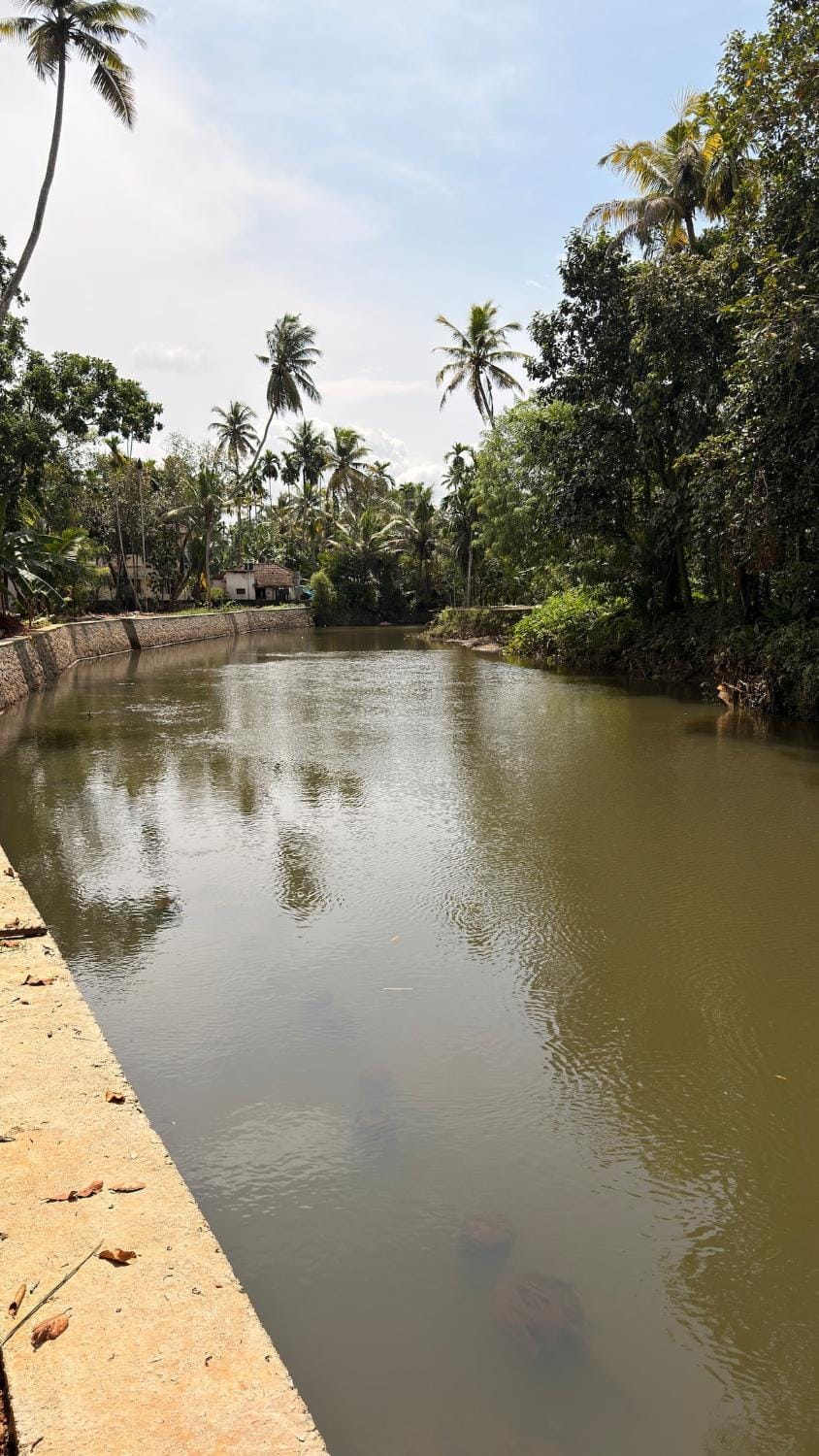 River view