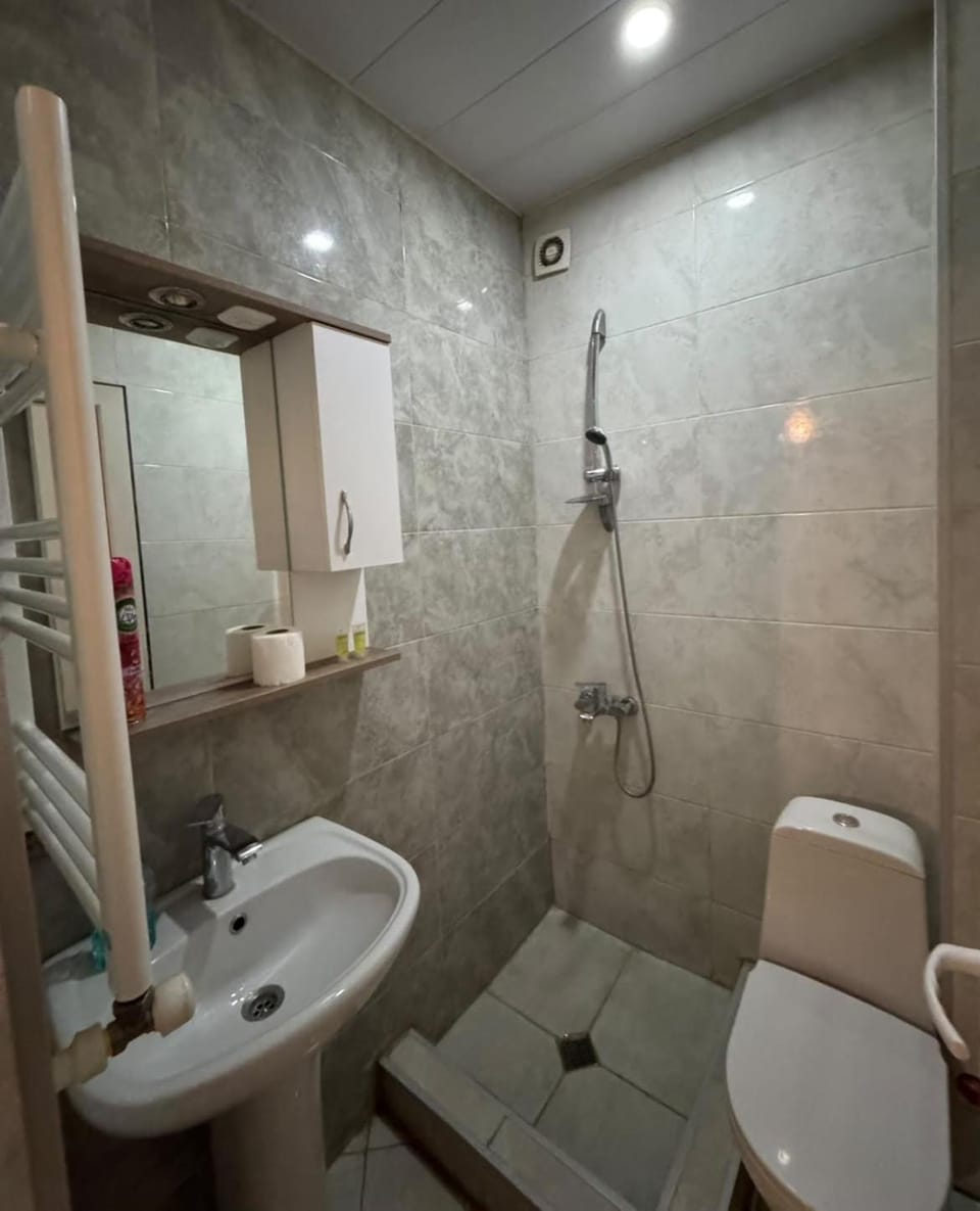 Shower, Toilet, Bathroom, Bath, towels