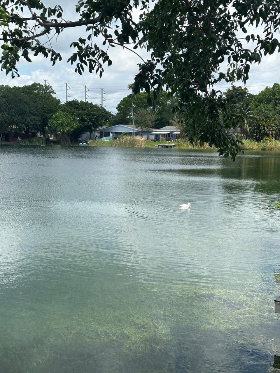Stunning lake view Villa House in Dania Beach