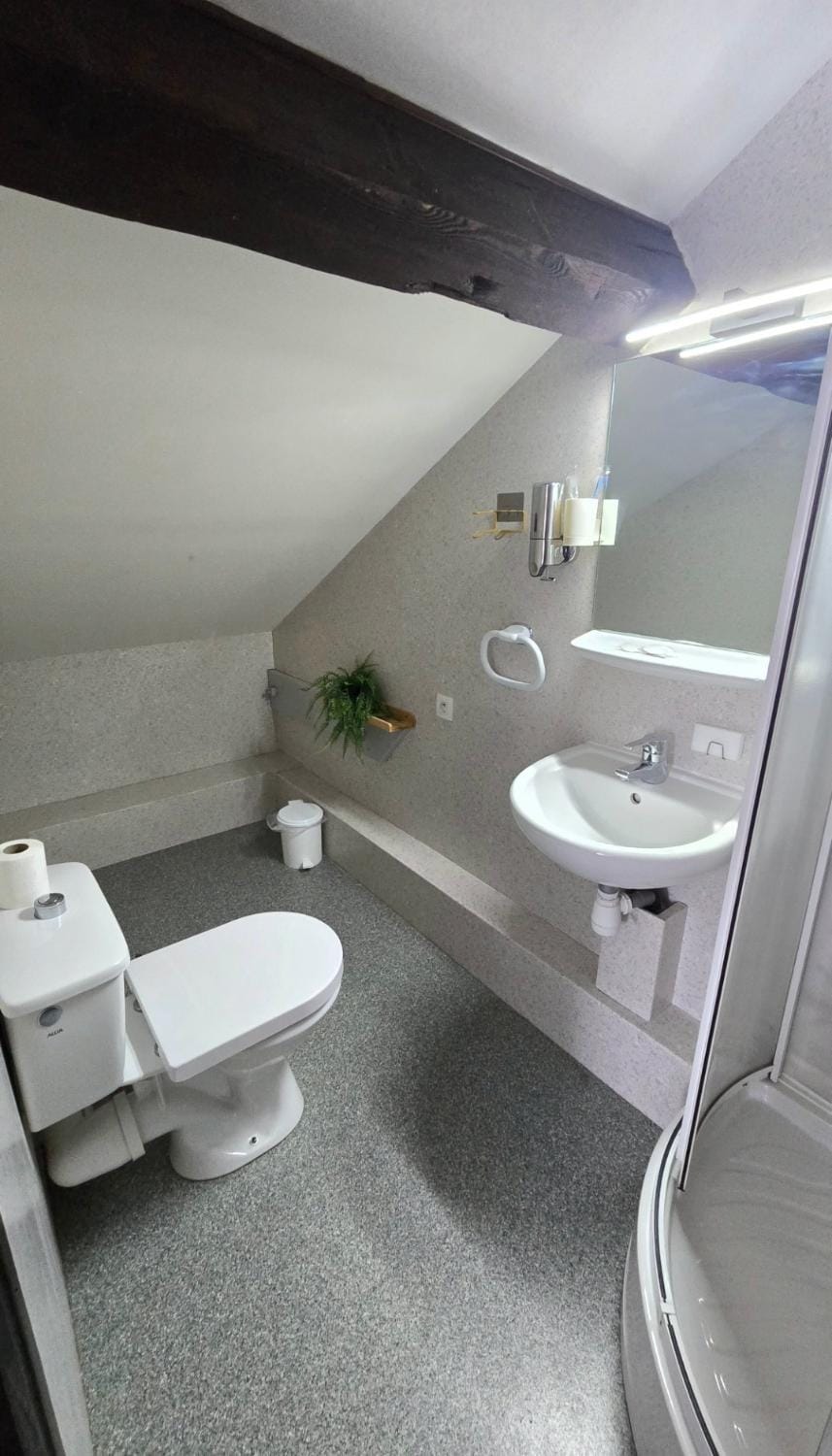 Résidence Les Poiriers - Petite chambre 2 mansardée tout confort avec salle de bain privative Bed and Breakfast in Vosges