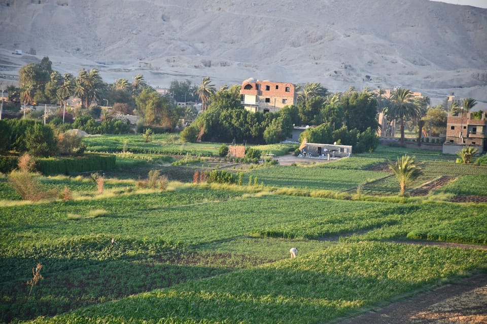 Build Your Panoramic View Studio for the 2027 Solar Eclipse Apartment in Luxor Governorate