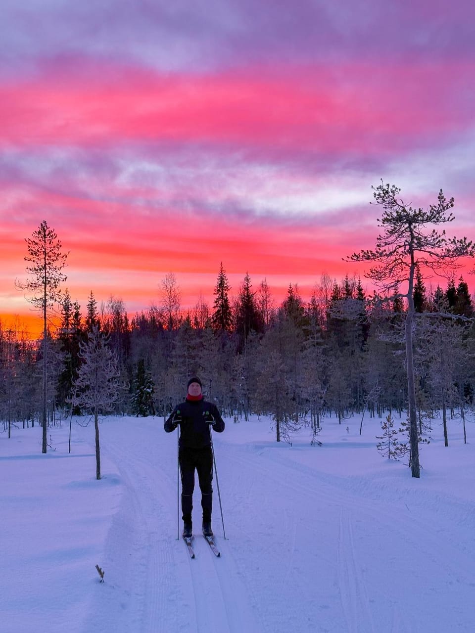 Quiet apartment, sauna, Wi-Fi and car charging Apartment in Lapland