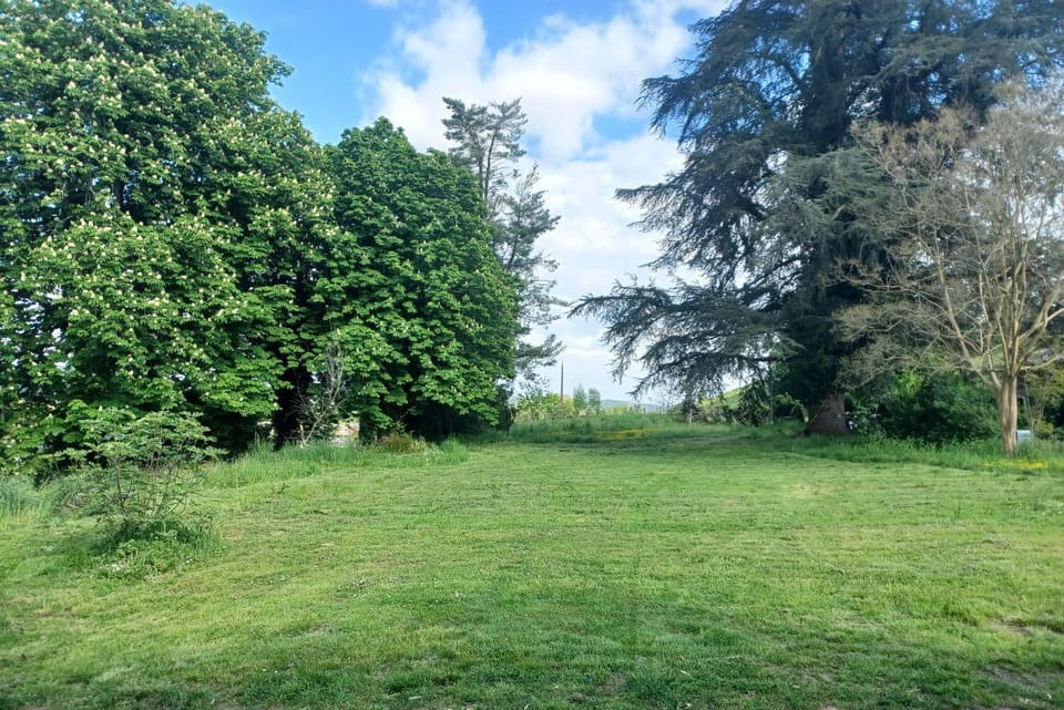 Spring, Garden view