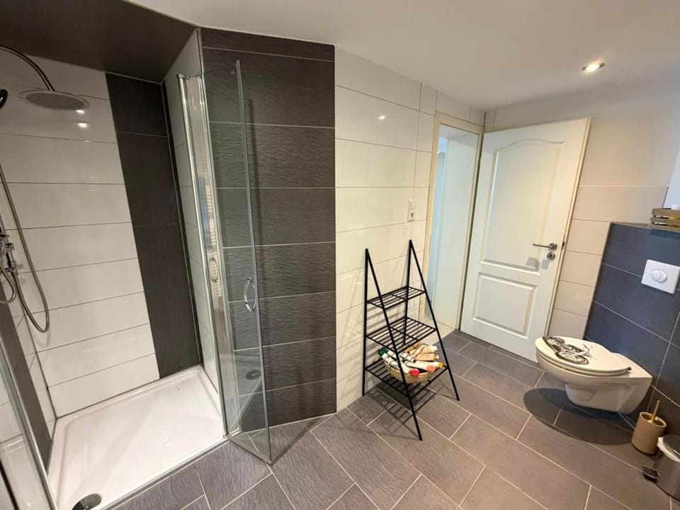Shower, Toilet, Bathroom, towels