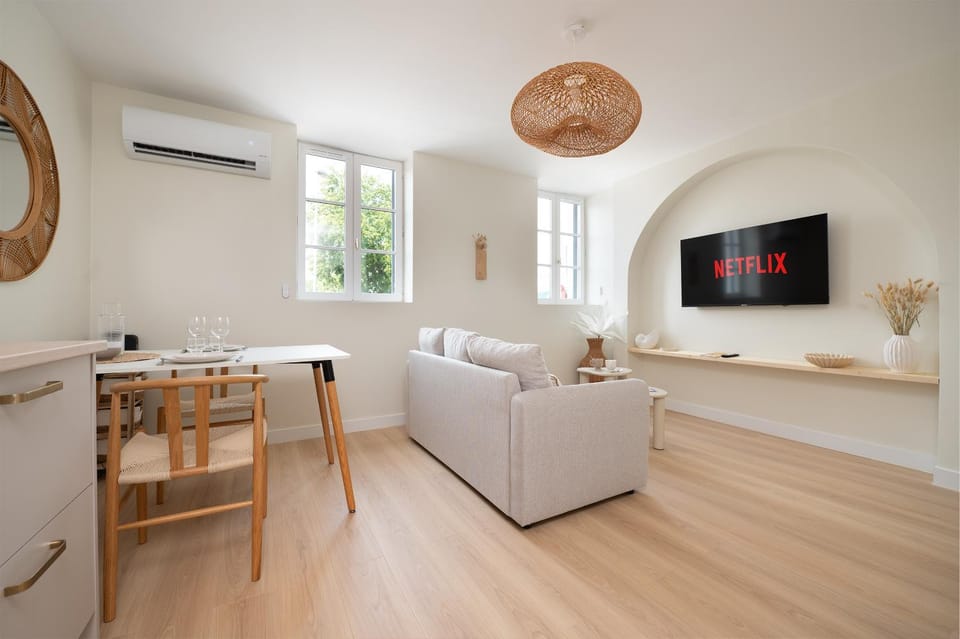 Trois appartements de charme à Albi - Climatisation réversible - Parking gratuit Apartment in Albi