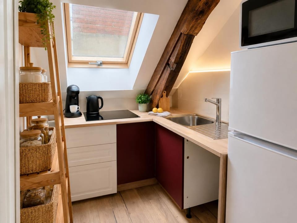 Appart cosy mansardé, Dijon centre, animaux acceptés Apartment in Dijon