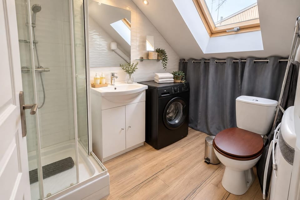 Appart cosy mansardé, Dijon centre, animaux acceptés Apartment in Dijon