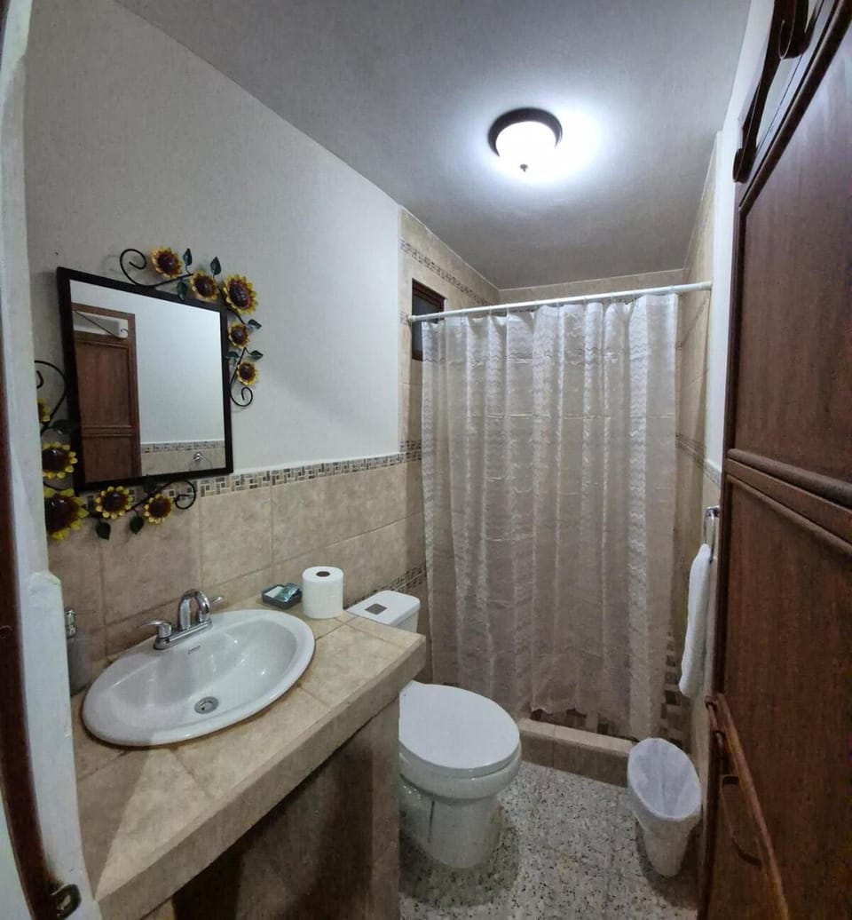 Shower, Bathroom, towels