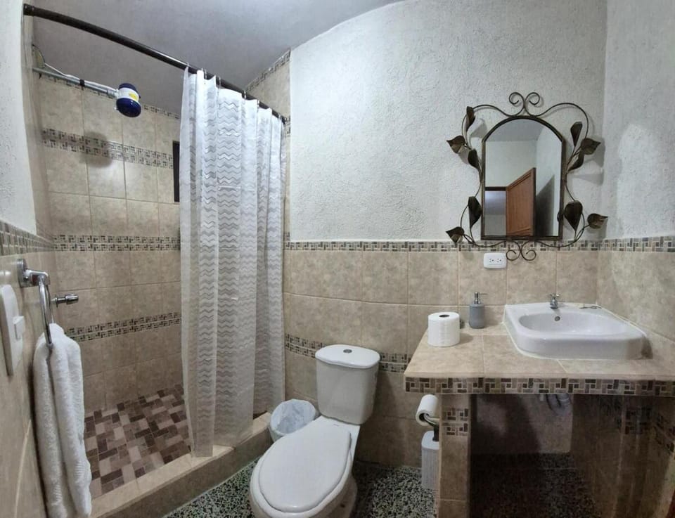 Shower, Toilet, Bathroom, towels